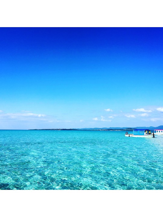 [Charter] Ishigaki Island charter snorkeling and diving, including snorkeling equipment, instructor, lunch, suitable for 4-12 people.