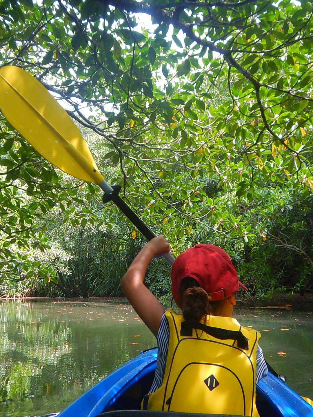 "Explore the Hidden Gems of Iriomote Island" - Take a red mangrove kayak tour with your child and experience the beauty of Maira River and Hinai Waterfall.